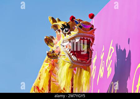 Dirigez le dragon chinois doré contre le ciel bleu pendant la célébration du nouvel an chinois, vue sous angle Banque D'Images