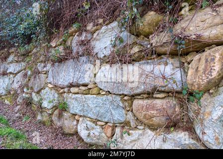 mur de retenue en pierre sèche envahi par les plantes grimpantes Banque D'Images