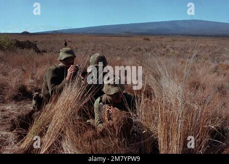 Les membres de l'armée australienne ont placé une mitrailleuse M-60 lors d'un exercice d'entraînement américain/australien dans la zone d'entraînement de Pohakuloa de l'armée américaine. Le sous-lieutenant Brock E. Ayers, au centre, officier de liaison du 1st Bataillon, 21st infanterie, 25th Division d'infanterie, observe. État : Hawaï (HI) pays : États-Unis d'Amérique (USA) Banque D'Images