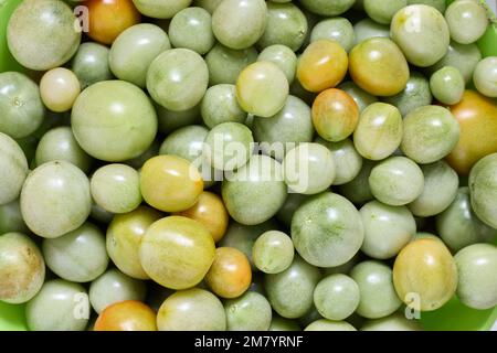 Les tomates cerises vertes sont dans un bol. Banque D'Images