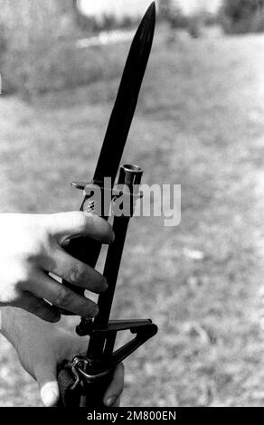 Vue rapprochée d'une baïonnette attachée à un fusil M16 pendant l'entraînement sur la gamme de baïonnette de North fort. Base: Fort Lewis État: Washington (WA) pays: Etats-Unis d'Amérique (USA) Banque D'Images