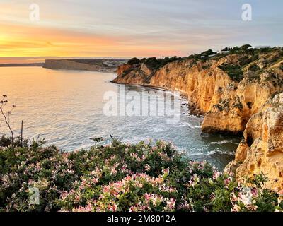 Vue imprenable sur les fleurs et les falaises au coucher du soleil à Lagos, Portugal, Europe Banque D'Images