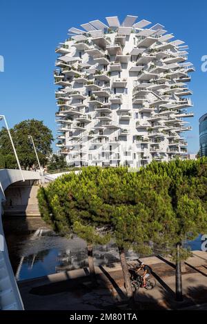 BÂTIMENT MODERNE L'ARBRE BLANC, ARCHITECTES SOO FOUJIMOTO, NICOLAS LASISNE ET MANAL RACHDI, BÂTIMENT ÉLU LE PLUS BEAU BÂTIMENT RÉSIDENTIEL DU MONDE EN 2019, PLACE CHRISTOPHE COLOMB, MONTPELLIER, HERAULT, OCCITANIE, FRANCE Banque D'Images