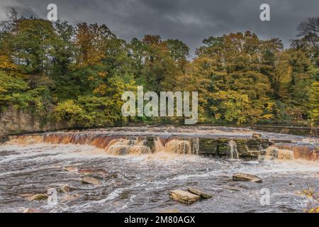 Couleurs d'automne et un marécageux de rivière gonflé à Richmond North Yorkshire Banque D'Images