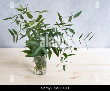 Bouquet d'eucalyptus frais dans un vase sur fond de bois clair. Copier l'espace. Banque D'Images