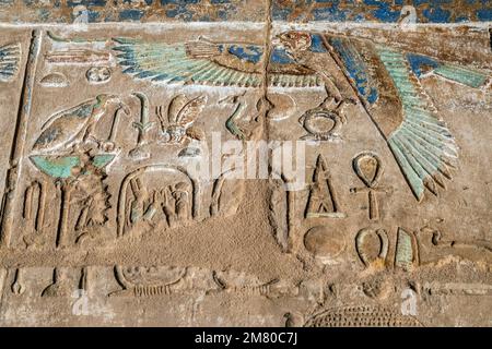 FALCON ÉGYPTIEN, SYMBOLE DU DIEU HORUS, HIÉROGLYPHES ÉGYPTIENS, ÉCRITS SACRÉS FIGURATIFS, CITÉ D'AMUN-RE, TEMPLE DE KARNAK, ANCIEN SITE ÉGYPTIEN DE LA DYNASTIE 13TH, SITE CLASSÉ AU PATRIMOINE MONDIAL DE L'UNESCO, LOUXOR, EGYPTE, AFRIQUE Banque D'Images