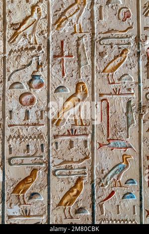 HIÉROGLYPHES ÉGYPTIENS, ÉCRITS SACRÉS FIGURATIFS, TOMBEAU DU PHARAON MERENPTAH, VALLÉE DES ROIS OÙ L'HYPOGEUM DE NOMBREUX PHARAONS DU NOUVEL EMPIRE PEUT ÊTRE TROUVÉ, LOUXOR, EGYPTE, AFRIQUE Banque D'Images