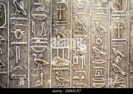 HIÉROGLYPHES ÉGYPTIENS, ÉCRITS SACRÉS FIGURATIFS, TOMBEAU DE KAGEMNI, VIZIER SOUS LE RÈGNE DU ROI TETI, NÉCROPOLE SAQQARA, RÉGION DE MEMPHIS, ANCIENNE CAPITALE DE L'ÉGYPTE ANCIENNE, LE CAIRE, L'ÉGYPTE, L'AFRIQUE Banque D'Images