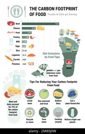 Infographie sur l'empreinte carbone des aliments. Conseils pour réduire votre empreinte carbone personnelle des aliments. Concept de régime, d'environnement et d'écologie à base de plantes Illustration de Vecteur