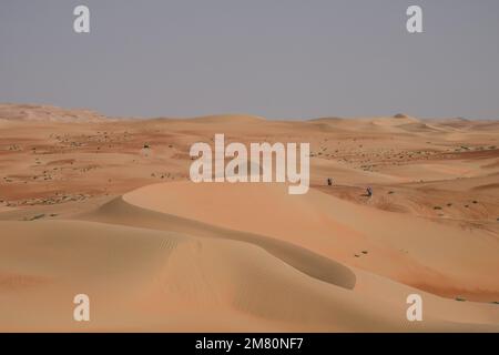 Pendant la phase 10 du Dakar 2023 entre Haradh et Shabybah, sur 11 janvier 2023 à Shabybah, Arabie Saoudite - photo: Eric Vargiolu/DPPI/LiveMedia Banque D'Images