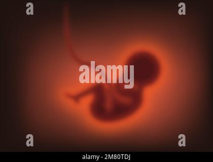 Concept de grossesse. Enfant flou dans l'utérus, embryon. Illustration vectorielle. SPE 10. Illustration de Vecteur