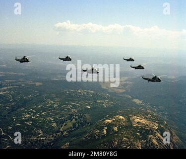 Vue aérienne à droite de six hélicoptères SH-3 Sea King de l'escadron 12 (HS-12). Pays : inconnu Banque D'Images