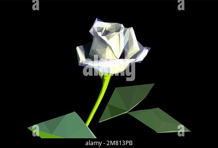 Rose poly bas vecteur blanc isolé sur couverture noire, clip de passion art, géométrique, plante de beauté polygonale Illustration de Vecteur