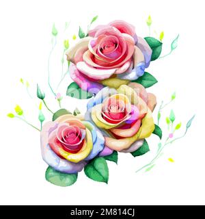 Roses à l'aquarelle vectorielle, carte de peinture de mariage de beauté, élément graphique pour invitation, mariage, design de mode Illustration de Vecteur