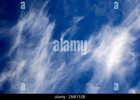 Cirrus Uncinus nuages dans un ciel bleu Banque D'Images