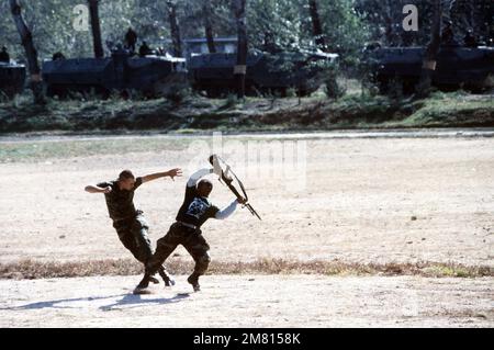 Le caporal Carlisle de la Compagnie A, 1st Bataillon, 9th Marines, et le lieutenant Wilcox du quartier général et du Bataillon des services, organisent une démonstration à baïonnette pour les troupes participant à l'opération BEAR HUNT '84. Objet opération/série: CHASSE À L'OURS '84 pays: République de Corée (KOR) Banque D'Images