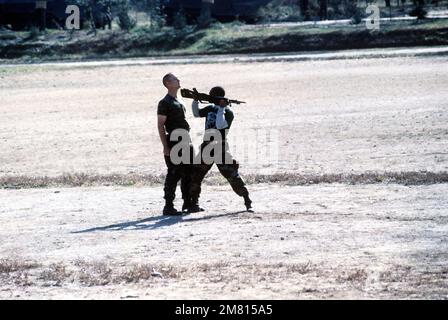 Le caporal Carlisle de la Compagnie A, 1st Bataillon, 9th Marines, et le lieutenant Wilcox du quartier général et du Bataillon des services, organisent une démonstration à baïonnette pour les troupes participant à l'opération BEAR HUNT '84. Objet opération/série: CHASSE À L'OURS '84 pays: République de Corée (KOR) Banque D'Images