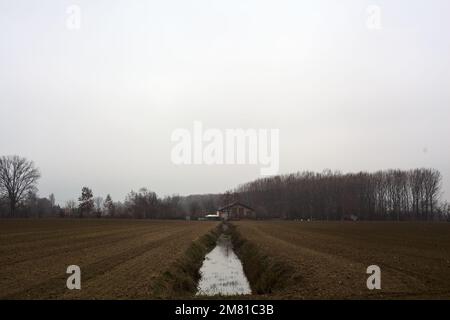 Canal d'irrigation au milieu des champs cultivés avec une forêt en arrière-plan, par une journée nuageux dans la campagne italienne en hiver Banque D'Images