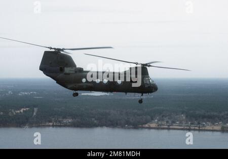 Vue du côté droit d'un hélicoptère CH-46 Sea Knight du Marine Medium Helicopter Squadron 365 (HMM-365), lors d'un soulèvement de troupes entre la zone d'atterrissage du côté principal et la zone d'atterrissage des opérations. Base : base du corps marin, Camp Lejeune État : Caroline du Nord (NC) pays : États-Unis d'Amérique (USA) Banque D'Images