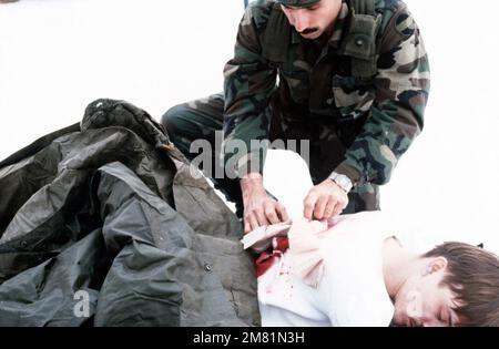 DA-ST-85-10005. Objet opération/série: ORBIT SUNSET base: Fort Meade État: Maryland (MD) pays: États-Unis d'Amérique (USA) Banque D'Images