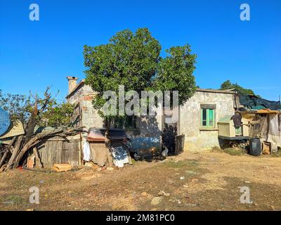 Hutte d'un homme avec maison de chien dans la cour, chat au soleil, Algarve, Portugal Banque D'Images