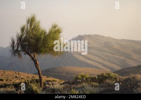 Jebel Jaistaken aux Émirats arabes Unis frontière avec l'Oman prise en mai 2022 Banque D'Images