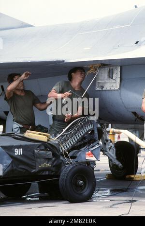 Le personnel affecté à l'escadron de maintenance de l'équipement 56th charge 20mm tours dans un canon M61A1 20mm à plusieurs cylindres monté dans le fuselage d'un avion de combat F-16 Faucon Fighting. Ils participent à l'exercice de défense aérienne de juin. Base: MacDill Air Force base État: Floride (FL) pays: Etats-Unis d'Amérique (USA) Banque D'Images