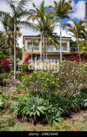 Grande maison séparée de Sydney à Bayview, jardin tropical luxuriant avec palmiers, frangipani et agaves, Nouvelle-Galles du Sud, Australie pendant l'été 2023 Banque D'Images