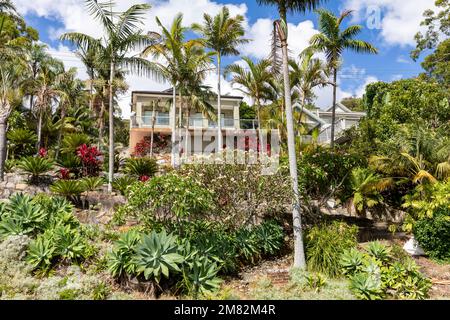 Grande maison séparée de Sydney à Bayview, jardin tropical luxuriant avec palmiers, frangipani et agaves, Nouvelle-Galles du Sud, Australie pendant l'été 2023 Banque D'Images