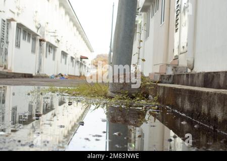 piscine d'eau stagnante après la pluie dans la rue asphaltée de la banlieue Banque D'Images