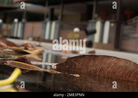 piscine d'eau stagnante après la pluie dans la rue asphaltée de la banlieue Banque D'Images
