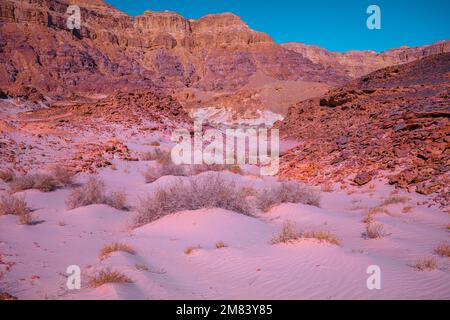 Paysage désertique le soir. Montagnes colorées. Timna Park, Israël Banque D'Images