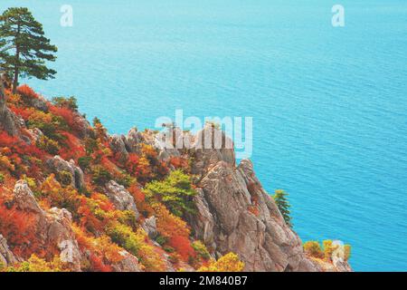 Paysage marin des Rocheuses en automne. Vue depuis le Mont Koshka, Simeiz, Crimée Banque D'Images