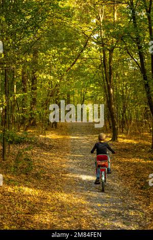 Automne dans le parc. Faites du vélo dans la forêt. Sports pour enfants, activités de plein air. Petit garçon à vélo à pied. Humeur naturelle. Activité de voyage. Style de vie sportif Banque D'Images