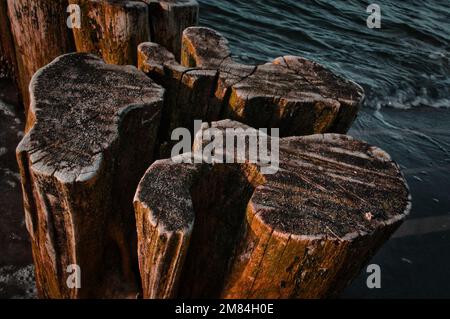 groyne unique sur la plage. forme du bois. Sable et eau de mer autour du tronc de l'arbre. Paysage de la côte Banque D'Images