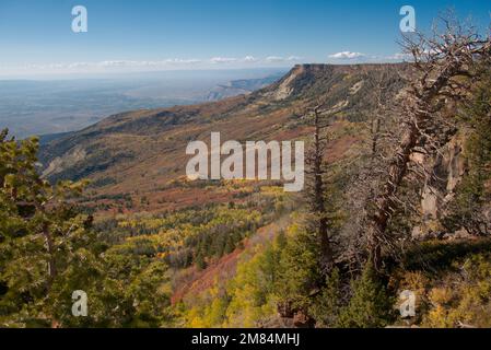 Vue depuis l'observatoire de Land's End sur la Grande Mesa du Colorado en automne Banque D'Images