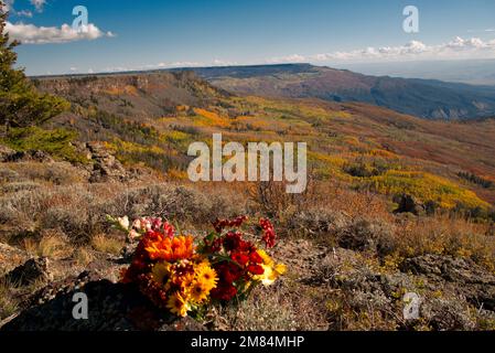 Vue depuis l'observatoire de Land's End sur la Grande Mesa du Colorado en automne Banque D'Images