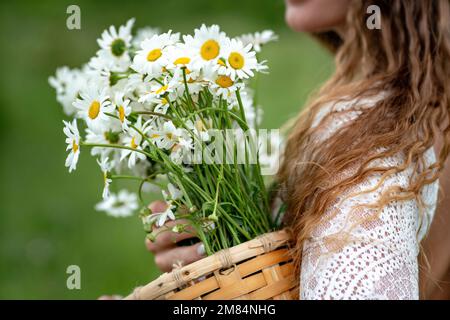 Une femme d'âge moyen tient un grand bouquet de pâquerettes entre ses mains. Fleurs sauvages pour félicitations Banque D'Images