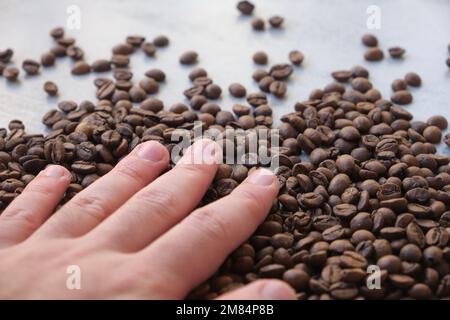 grains de café régionaux en photo macro Banque D'Images