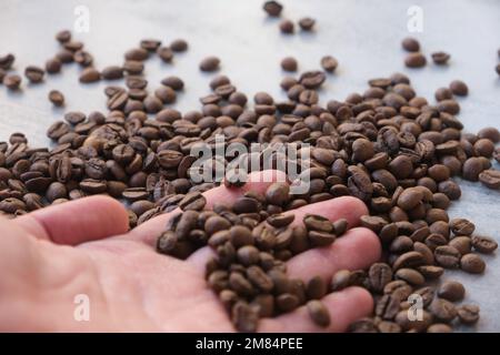 grains de café régionaux en photo macro Banque D'Images