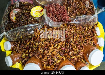 Chapulines ou sauterelles grillées à vendre au marché Benito Juarez à Oaxaca, au Mexique. Les sauterelles sont grillées sur une comale avec de l'ail, de la chaux Banque D'Images