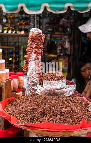 Chapiculines ou sauterelles grillées et vers de la maguey rouge à vendre au marché de Benito Juarez à Oaxaca, Mexique. Les sauterelles sont grillées sur un co Banque D'Images