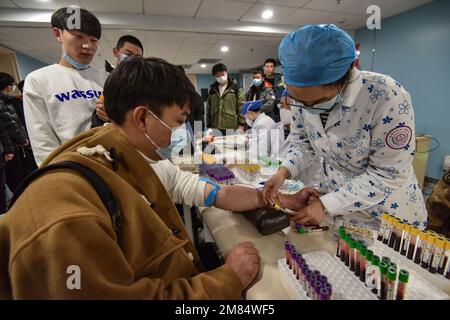 Fuyang, Chine. 12th janvier 2023. Une infirmière prélève du sang d'un jeune homme pour faire des bilans de santé avant d'être admise dans l'armée. Ces jeunes veulent devenir soldats, mais ils doivent subir des contrôles physiques stricts et d'autres contrôles avant de pouvoir devenir soldats. Crédit : SOPA Images Limited/Alamy Live News Banque D'Images