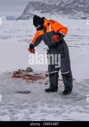 Les habitants pêchent pour « le pot », bien que des trous dans la glace de mer à Uummannaq dans l'ouest du Groenland. Banque D'Images