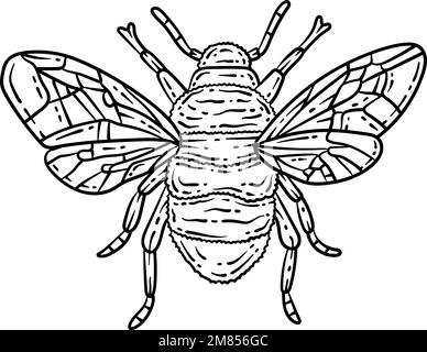 Page de coloriage du printemps des abeilles pour adultes Illustration de Vecteur