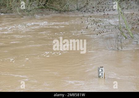 Pembridge, Herefordshire, Royaume-Uni – jeudi 12th janvier 2023 – Météo au Royaume-Uni – la rivière Arrow est très haute à Pembridge, presque au-dessus de son propre marqueur de mesure au bord de la rivière. Après des jours de précipitations, les rivières locales comme la rivière Arrow, Tée et Wye sont à des niveaux très élevés. Plus de prévisions de pluie. Photo Steven May / Alamy Live News Banque D'Images