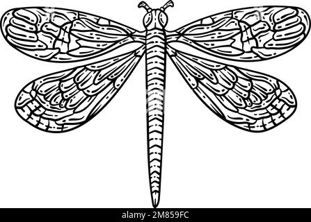 Page de coloriage Dragonfly Spring pour adultes Illustration de Vecteur