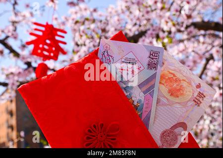 Argent et fleurs chinois. Billets dans un sac à main rouge, traditions de l'est. Cerisiers en fleurs et yuan. Photo de haute qualité Banque D'Images