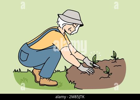 Une femme âgée souriante plante des semis dans le sol. Bonne jeune jardinière mature engagée dans l'horticulture en plein air. Jardinage et passe-temps. Illustration vectorielle. Illustration de Vecteur