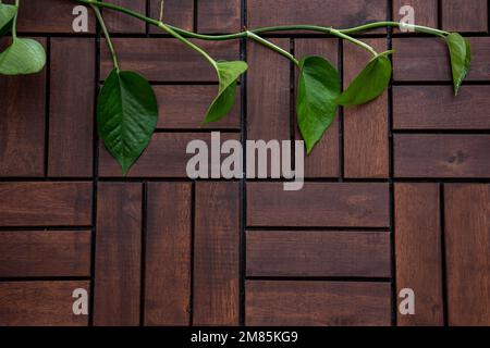 Terrasse extérieure en bois ou parquet avec fond de plante verdoyant. Concept d'utilisation en arrière-plan. Vue de dessus de l'espace de copie de la mise à plat. Banque D'Images